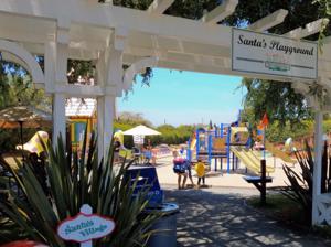 Carlsbad Flower Fields   Santa'S Playground